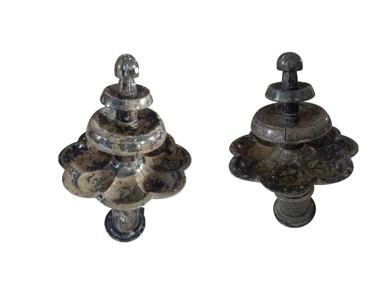 Fountains Fossils - morocco marble fossils
