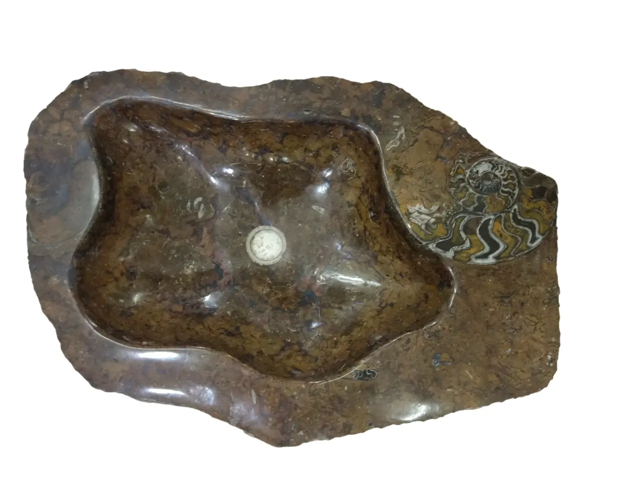 Brown Fossil Sink