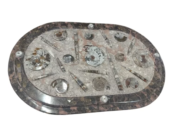 Marble Fossil Table